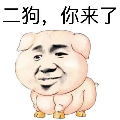 壮硕的猪猪猪猪_肥猪_装逼_好玩表情包
