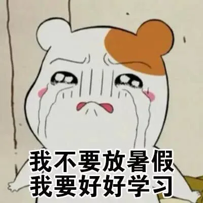 我不要放暑假，我要好好学习