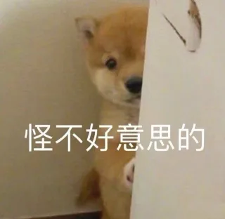 怪不好意思的