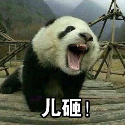 儿砸!