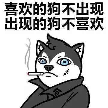 喜欢的狗不出现，出现的狗不喜欢