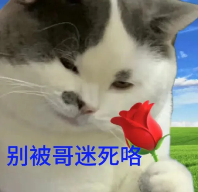别被哥迷死咯（别被哥迷死咯）