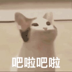 吧啦吧啦（POPO猫表情包）（吧啦吧啦（POPO猫表情包））