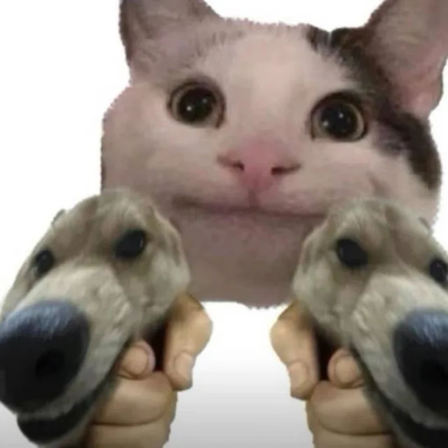 猫猫手持狗头表情包（猫猫手持狗头表情包）