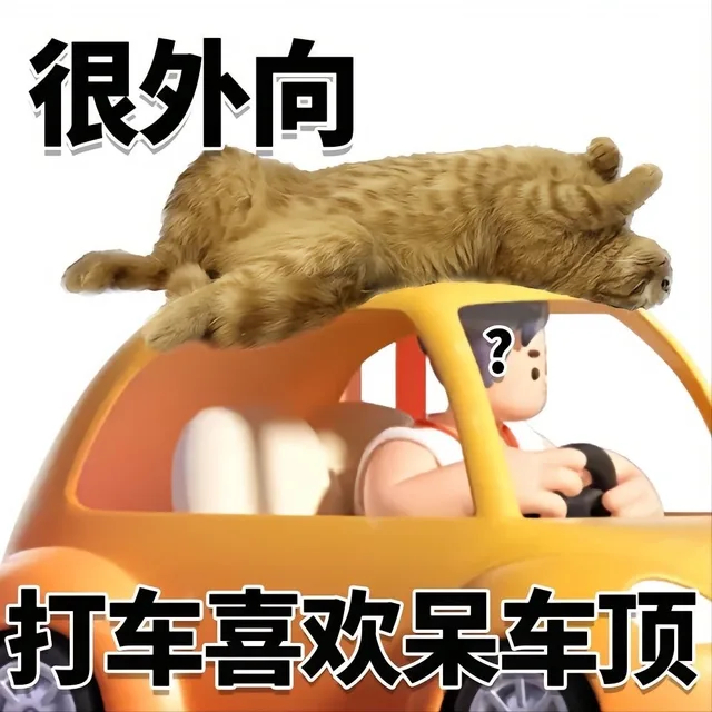 很外向2打车喜欢呆车顶