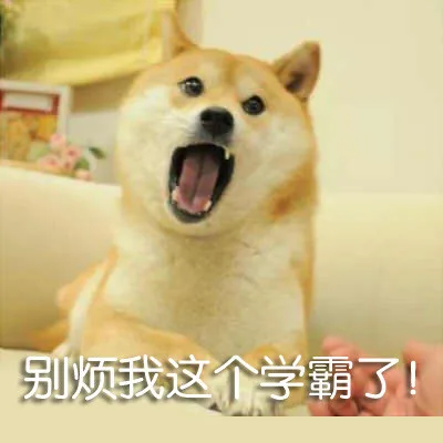 别烦我这个学霸了！（别烦我这个学霸了！）