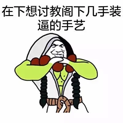 在下想讨教阁下几气装逼的手艺（在下想讨教阁下几气装逼的手艺）