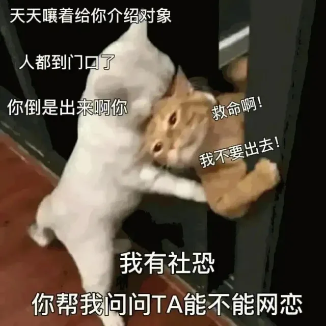 天天嚷着给你介绍对象人都到门口了你倒是出来啊你救命啊!我不要出去!我有社恐你帮我问问TA能不能网恋