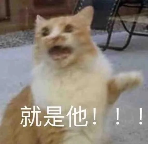 近期热门表情包