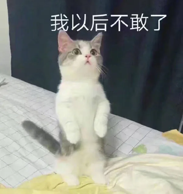 我以后不敢了（我以后不敢了）