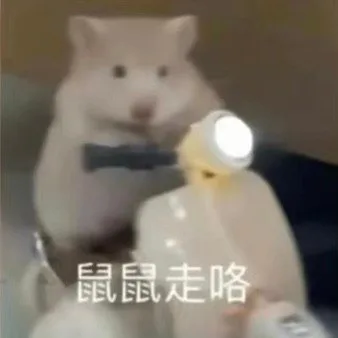 鼠鼠走咯（鼠鼠走咯）