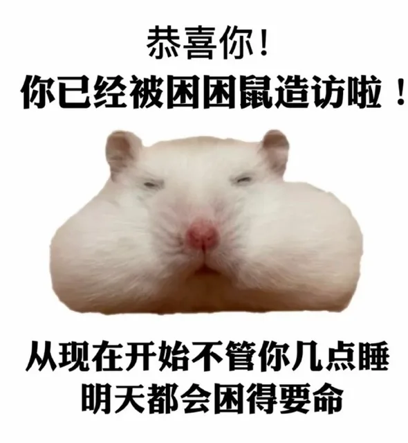恭喜你!你已经被困困鼠造访啦!从现在开始不管你几点睡明天都会困得要命