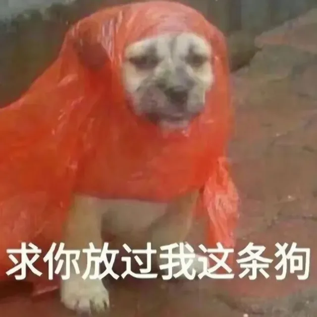 求你放过我这条狗（求你放过我这条狗）