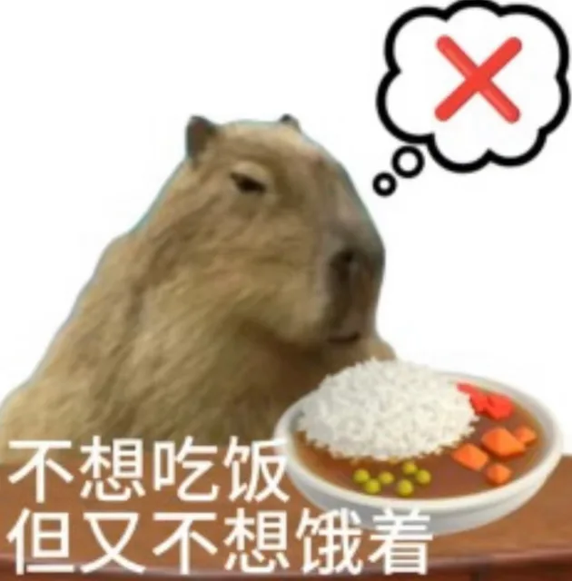 不想吃饭但又不想饿着（不想吃饭但又不想饿着）