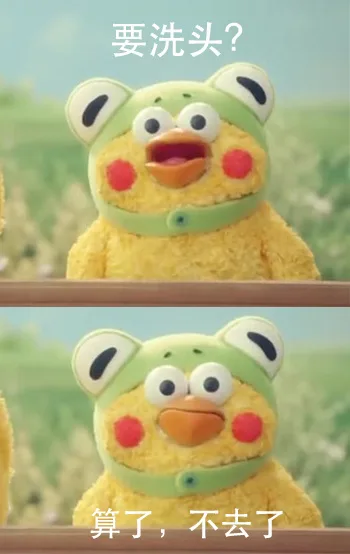 要洗头？算了 不去了