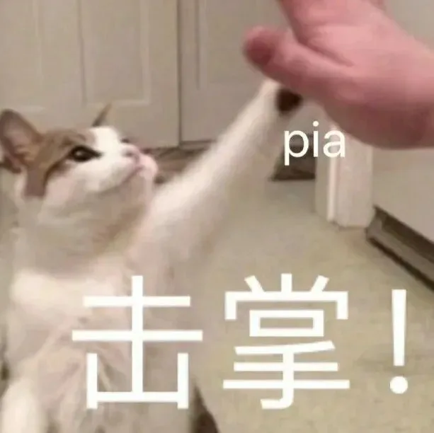 pia 击掌