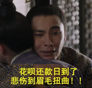 花呗还款日到了，悲伤到眉毛扭曲！