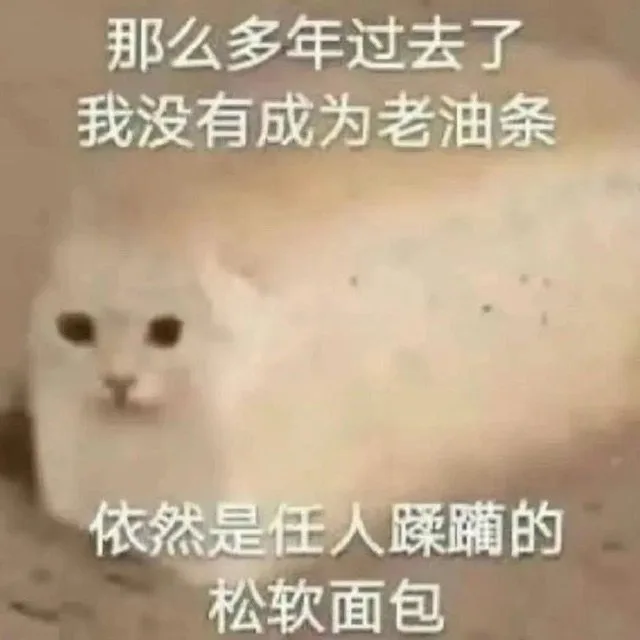 那么多年过去了我没有成为老油条依然是任人躁躏的松软面包（那么多年过去了我没有成为老油条依然是任人躁躏的松软面包）
