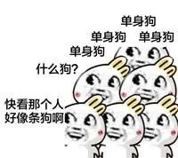 单身狗，单身狗，单身狗，单身狗，单身狗，单身狗