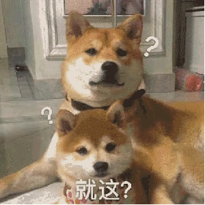 汪星人就这？