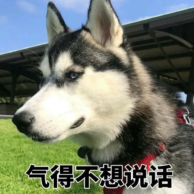 气的不想说话（气的不想说话）