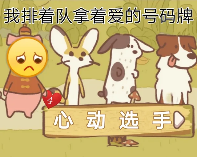 我排着队拿着爱的号码牌4心动选手