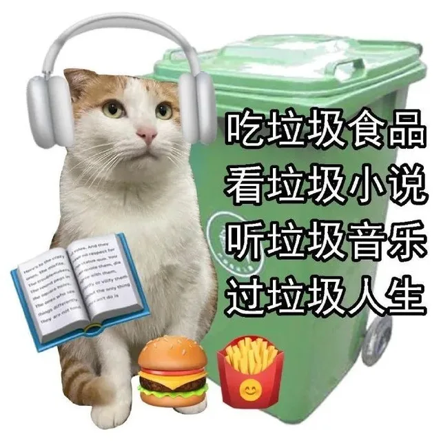吃垃圾食品看垃圾小说听垃圾音乐s过垃圾人生（吃垃圾食品看垃圾小说听垃圾音乐s过垃圾人生）