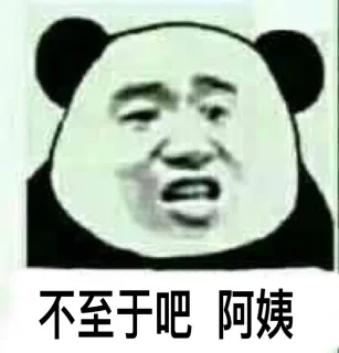 不至于吧阿姨