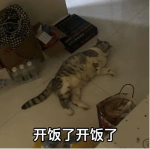 开饭了开饭了（开饭了开饭了）