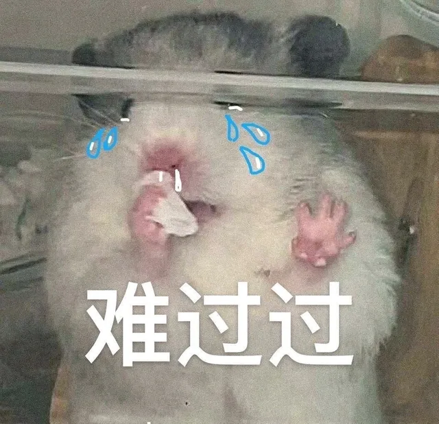 难过过（难过过）