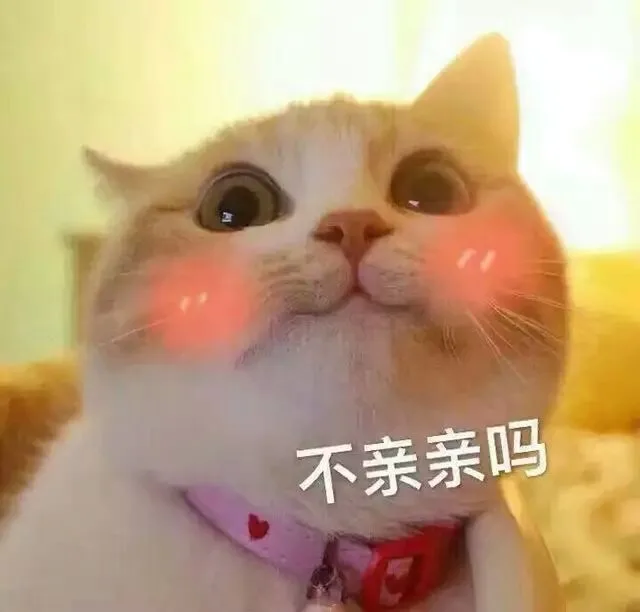 不亲亲吗