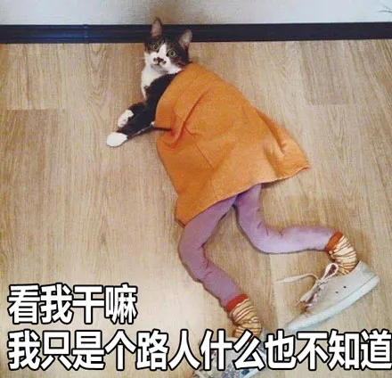 看我干嘛，我只是个路人什么也不知道（看我干嘛，我只是个路人什么也不知道）