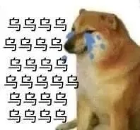 乌乌乌乌乌乌乌乌乌乌乌鸟乌乌乌乌乌乌乌乌乌乌乌乌乌（乌乌乌乌乌乌乌乌乌乌乌鸟乌乌乌乌乌乌乌乌乌乌乌乌乌）
