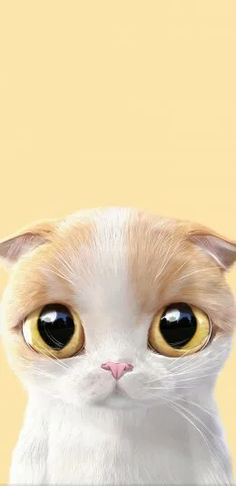 猫咪卡通壁纸（猫咪卡通壁纸）