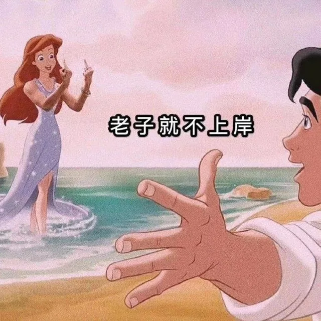 老子就不上岸