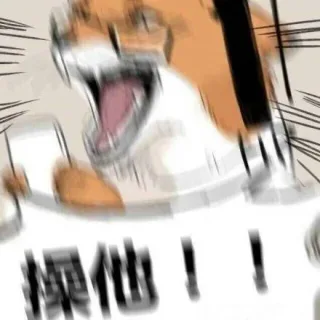 迷妹的不同场合：群里，微博上，正主面前_内涵表情包