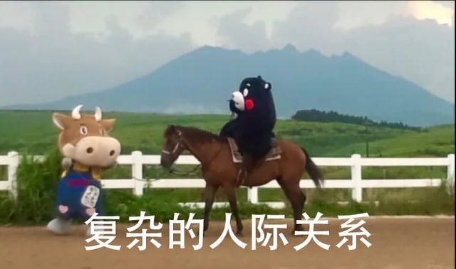 复杂的人际关系