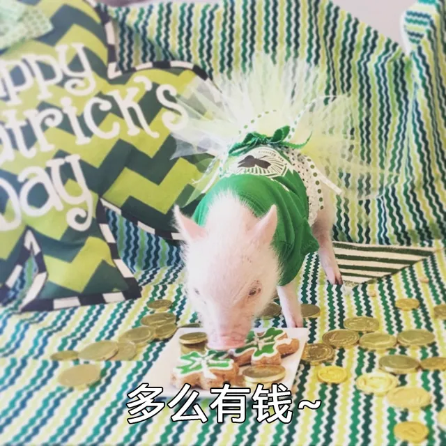 多么有钱（多么有钱）