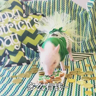 多么有钱