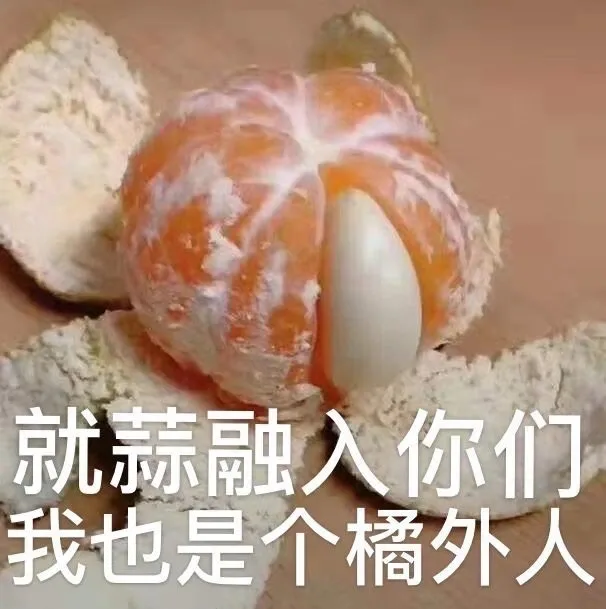就蒜融入你们我也是个橘外人（就蒜融入你们我也是个橘外人）