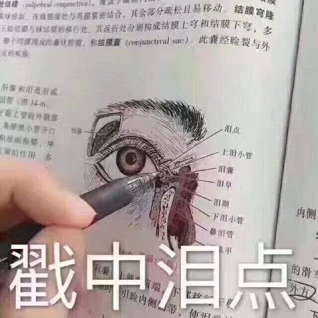 戳中泪点