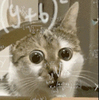 猫猫懵逼 数学公式 GIF 动图表情包（猫猫懵逼 数学公式 GIF 动图表情包）