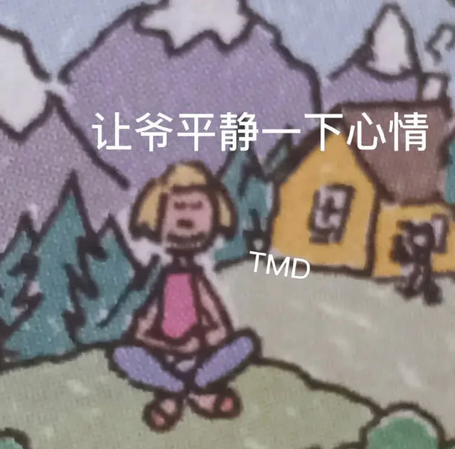 让爷平静一下心情TMD