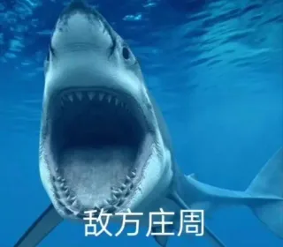 游戏中的敌方我方对比，我可能玩了假王者荣耀 _王者荣耀