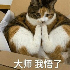 大师我悟了