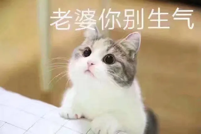 老婆你别生气