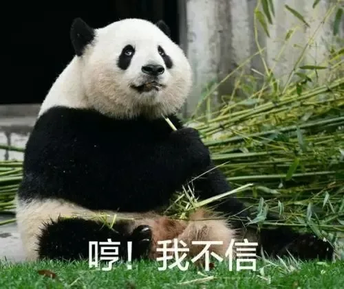 哼 我不信