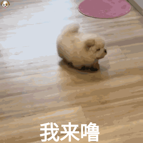 我来噜（我来噜）