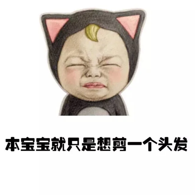 本宝宝就只想剪一个头发（本宝宝就只想剪一个头发）