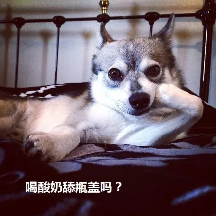 喝酸奶舔瓶盖吗？（喝酸奶舔瓶盖吗？）